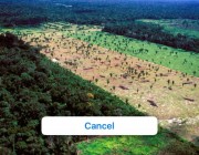 如何利用旧手机捕捉雨林深处的非法伐木者