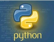 如何用Python将数据预处理速度提升2至6倍？