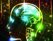 Nature子刊评论：大脑对算法的独特理解，我们是否能够理解神经算法到底是什么？